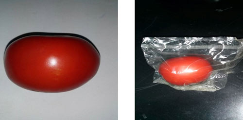 Sản phẩm ban đầu của quá trình thử nghiệm trên quả cà chua. Ảnh: NVCC.